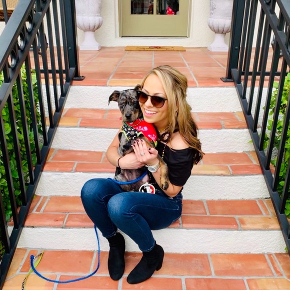 ✨ ✨ W E L C O M E ✨ ✨ - Picture 2 of 5